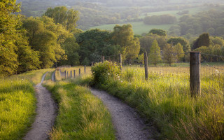 Dirt road grass field fence - depth of field free wallpaper