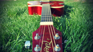 Red guitar green field folk - a red guitar free wallpaper