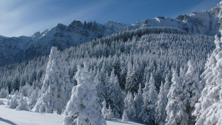 Skiing mountain snowy forest lake - les nabis free wallpaper