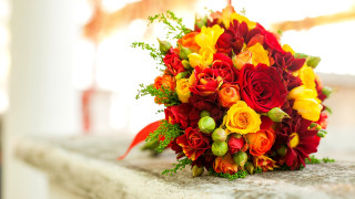 Bouquet flowers outside window sunlight - bracha l. ettinger free wallpaper for desktop