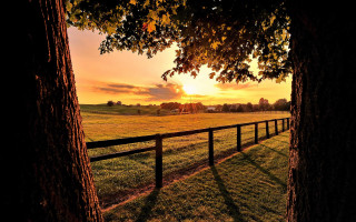 Fence field sunset tree autumn - a fence free wallpaper for desktop