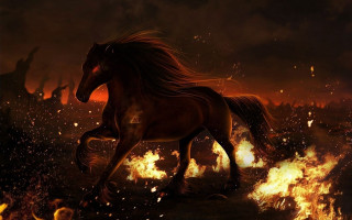 Horse firefield dusk clouds fantasy - a horse free wallpaper