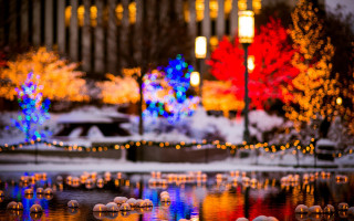 Pond lights trees night reflection - free holidays wallpaper
