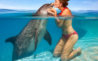 Woman dolphin kissing water ocean - a dolphin free wallpaper