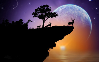 Deer silhouette night fullmoon magicrealism - two deer free wallpaper