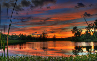 Sunset lake trees grass clouds 5 - a sunset over a lake free wallpaper