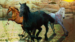 Horses running field rocky hillside - a rocky hillside free wallpaper