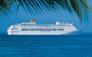 Cruise ship ocean palm tree 3 - a cruise ship free wallpaper