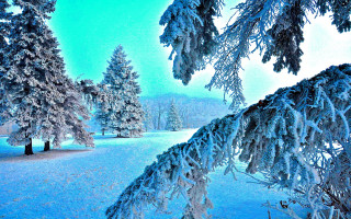 Snowy landscape trees blue sky - impressionism free wallpaper