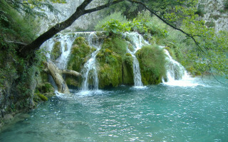 Waterfall tree lake forest nature 2 - alen divi free wallpaper