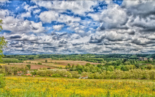 Scenic field trees clouds blue - scenic free wallpaper