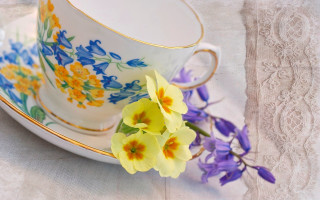 Cup flower saucer lace stilllife - a cup free wallpaper