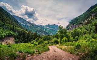Dirt road forest mountains clouds - a dirt road in the middle of a forest free wallpaper for desktop