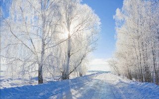 Snowy road trees blue sky 2 - a road free wallpaper for desktop
