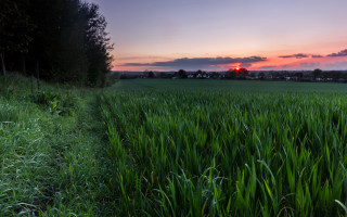 Sunset grass horizon clouds mountain - free summer wallpaper