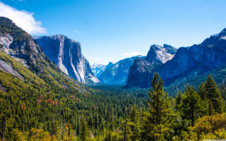 Valley mountains trees foreground scenic - the background and trees free wallpaper