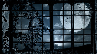 Full moon window bars gothic - bar free wallpaper