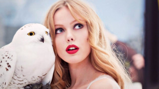 Woman owl shoulder red lip - amalia lindegren free wallpaper