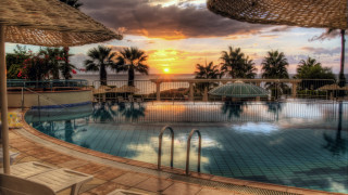 Sunset pool palm trees cityscape - a large swimming pool free wallpaper