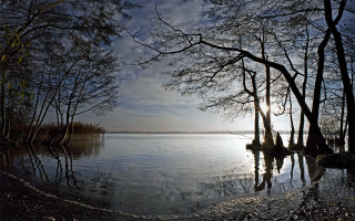Lake tree sky clouds sunset - tree and a sky background free wallpaper