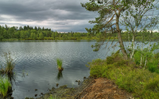Lake tree clouds arkhip kuindzhi - a tree in the middle of it free wallpaper
