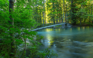 River forest bridge nature impressionist - a wooden bridge free wallpaper