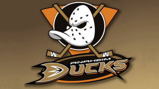 Hockey mask sticks anaheim ducks - a mask free wallpaper