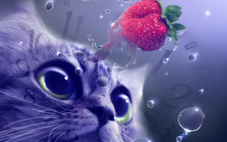 Cat strawberry bubbles clock surreal - a clock in the background free wallpaper