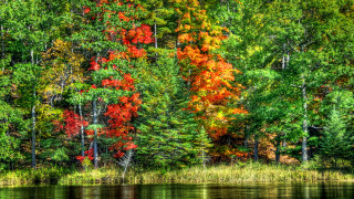 Lake fall colors reflection impressionist - fall free wallpaper