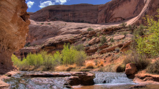 Canyon stream mountain trees blue - a canyon free wallpaper