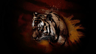 Tiger feather tail digital painting - a feather free wallpaper