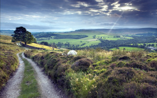Dirt road green countryside cloudy - free landscape wallpaper for desktop