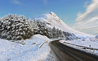 Snowy mountain road tree beach - adam bruce thomson free wallpaper