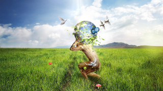 Man globe flying birds nature - a globe free wallpaper