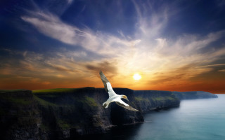 Bird flying over cliff ocean 2 - surrealism free wallpaper for desktop