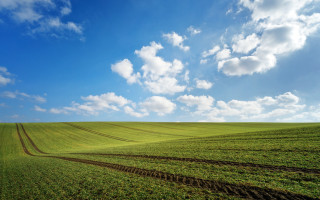 Large field sky tracks horizon - a large field free wallpaper for desktop