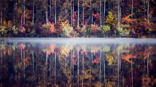 Autumn lake reflections foggy sky - the shore free wallpaper