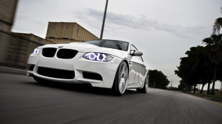 White car driving street palm - a white car free wallpaper