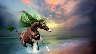 Horse green hair beach sunset - a horse free wallpaper