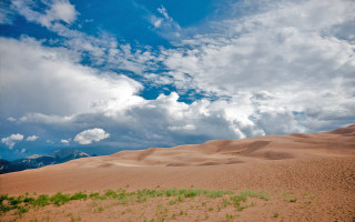 Large sandy field trees clouds - a few bush free wallpaper