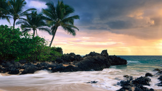 Beach rocks palm trees cloudy 2 - a cloudy sky above free wallpaper