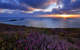 Sunset field water clouds mountains - colin hayes free wallpaper