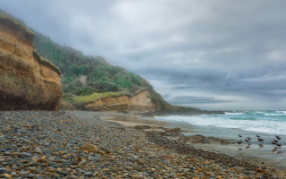 Rocky beach birds ocean cliff - a rocky beach next free wallpaper