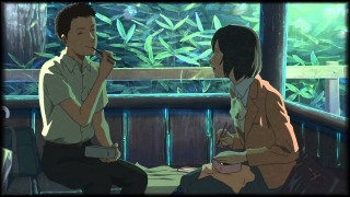 Man woman talking table plant - room free wallpaper