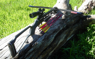 Fishing rod log grass tree - free sports wallpaper