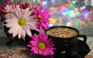 Coffee saucer flowers colorful lights - morning free wallpaper