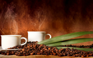 Coffee cups beans leaves steam - steam free wallpaper