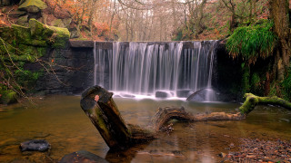 Waterfall fallen tree log light - tree in the foreground free wallpaper