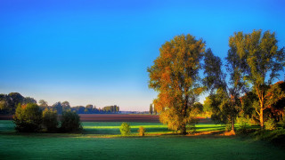 Autumn landscape trees blue sky - free spring wallpaper