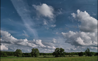 Field trees clouds cows mountain 2 - a few cow free wallpaper